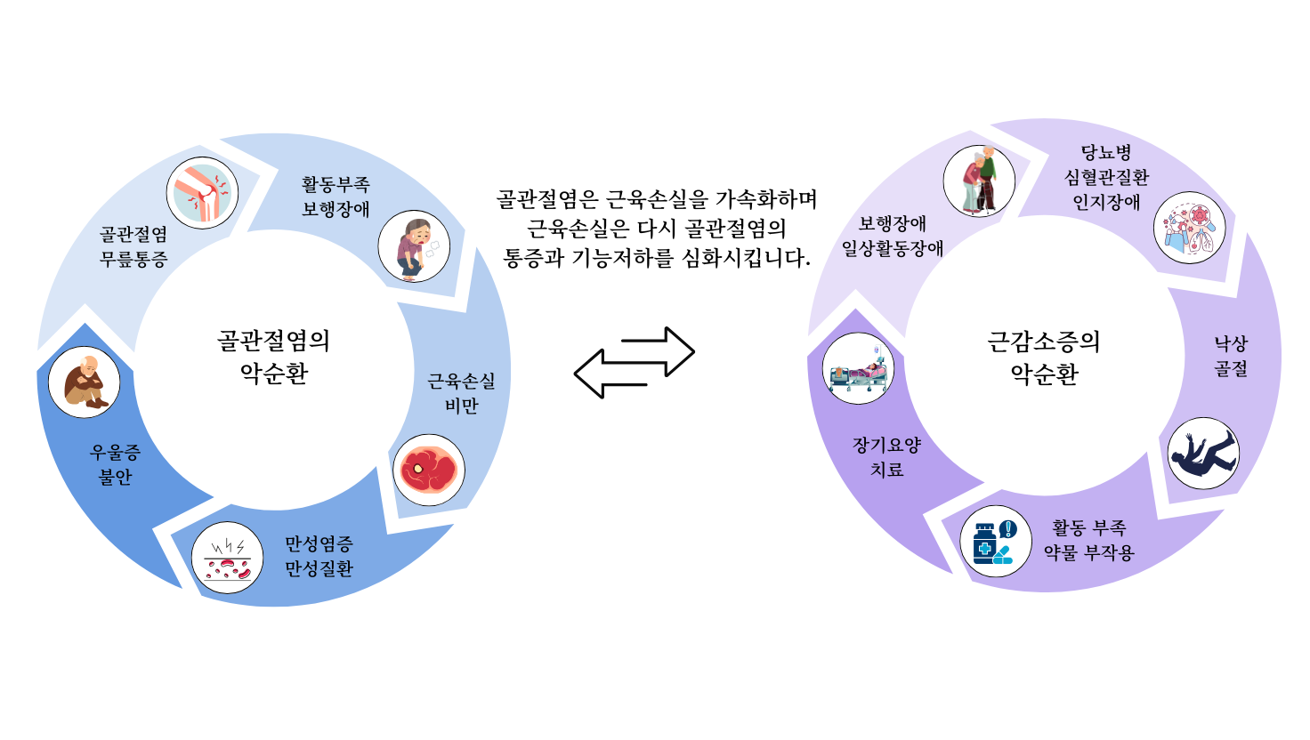 골관절염으로 인해, 보행장애가 발생하면 전신 건강을 무너뜨리게 됩니다. 
골관절염을 노쇠화의 관문 질환이라고 부르는 이유입니다. 
골관절염은 근육손실을 가속화하고, 
근육손실은 다시 골관절염의 통증과 기능 저하를 가속화시킵니다.